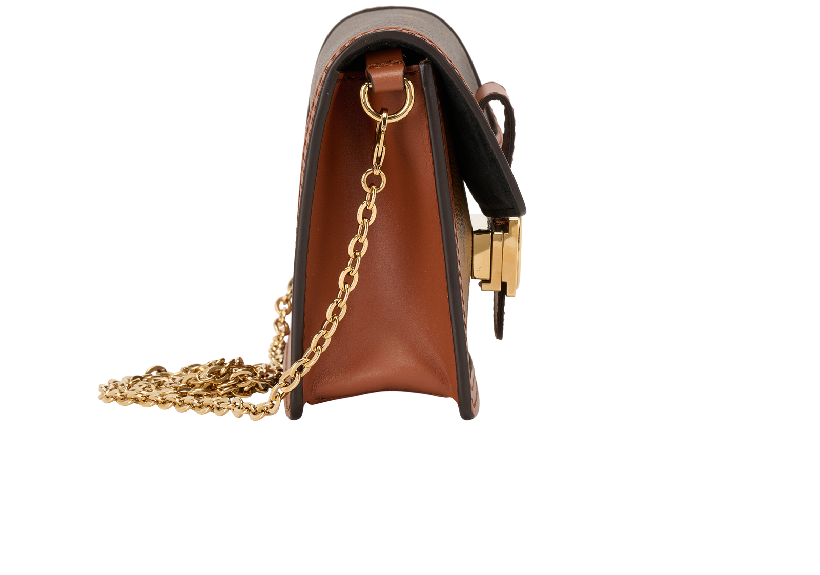 Dauphine Chain Wallet, &pound;1,400, Handbags, Brown, Canvas, Side view